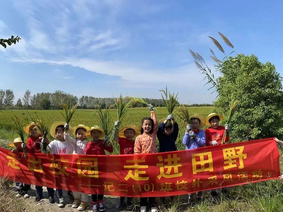 狡兔三窟打一准确生肖，全面释义、构建解答解释落实