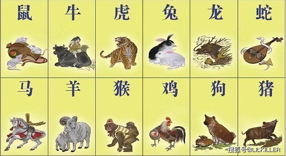 一手一腳，親力親為。原創精神不作偽打一正确生肖精选解析、解释与落实、精准解答解释落实