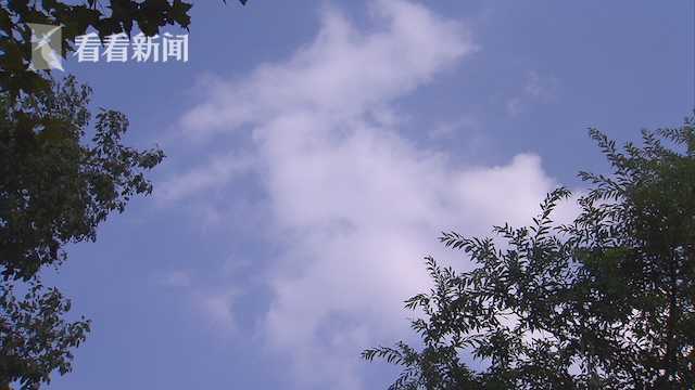 八月秋高天气爽,七二不凑十回头是什么生肖,警惕虚假宣传落实,定量解答解释落实