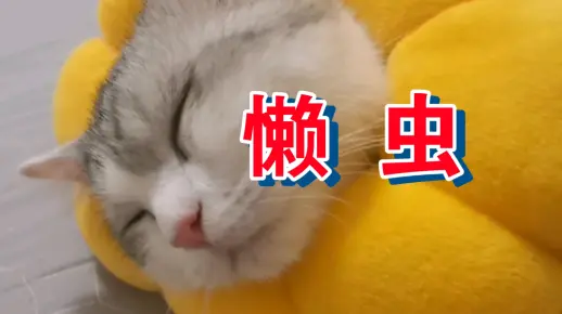 虫躲懒,鸟倦飞,相安无事能有几打一生肖详细解答、全面解答解释落实