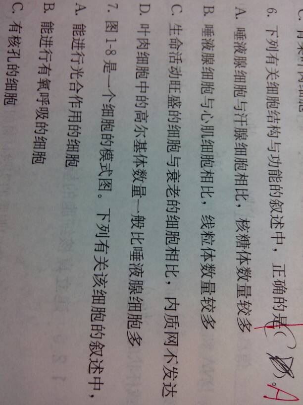 六部玄機碼中碼，天下兄弟歸一物打一准确生肖全面释义、科学解答解释落实